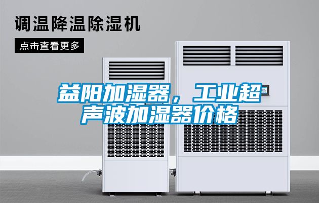 益陽加濕器，工業(yè)超聲波加濕器價格