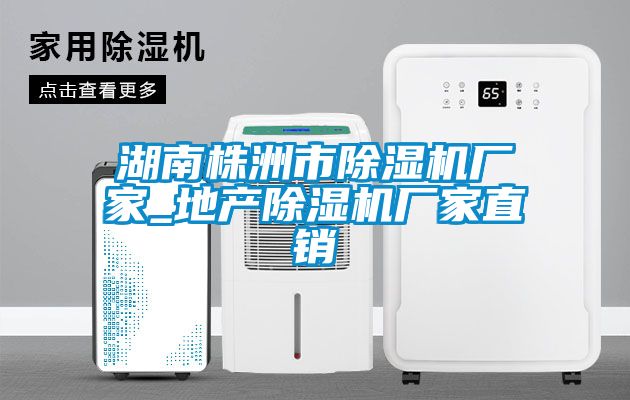 湖南株洲市除濕機(jī)廠家_地產(chǎn)除濕機(jī)廠家直銷
