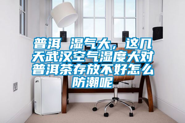 普洱 濕氣大，這幾天武漢空氣濕度大對普洱茶存放不好怎么防潮呢