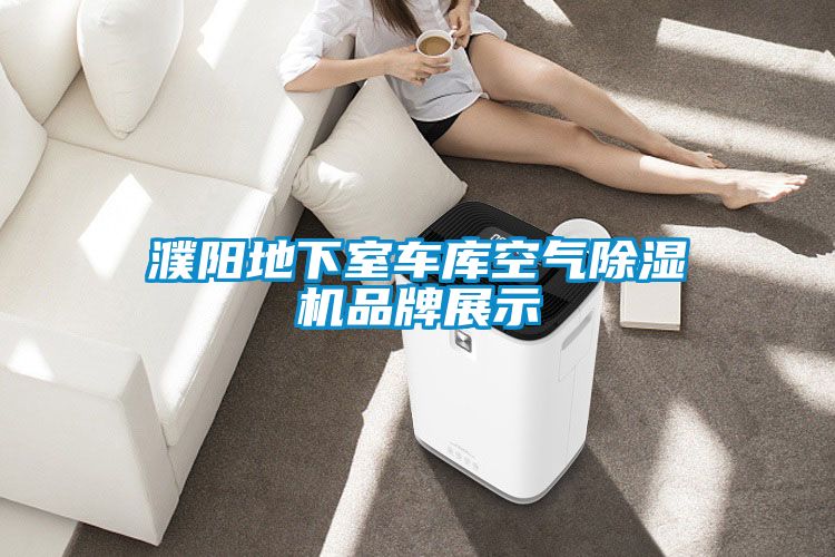 濮陽(yáng)地下室車(chē)庫(kù)空氣除濕機(jī)品牌展示