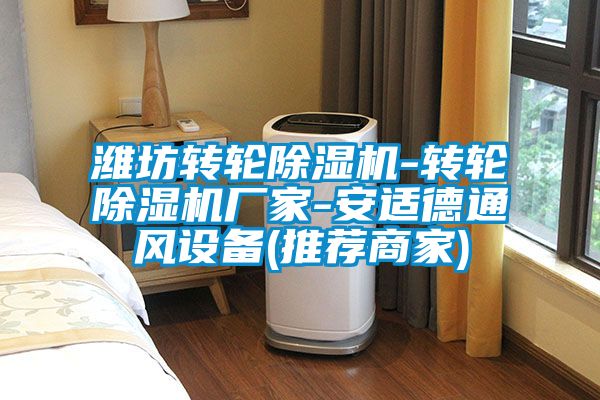 濰坊轉(zhuǎn)輪除濕機(jī)-轉(zhuǎn)輪除濕機(jī)廠家-安適德通風(fēng)設(shè)備(推薦商家)