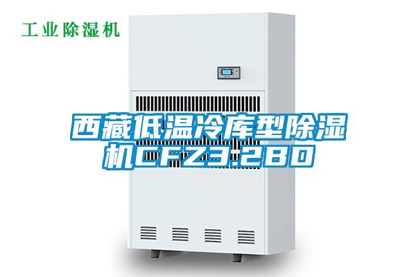 西藏低溫冷庫(kù)型除濕機(jī)CFZ3.2BD