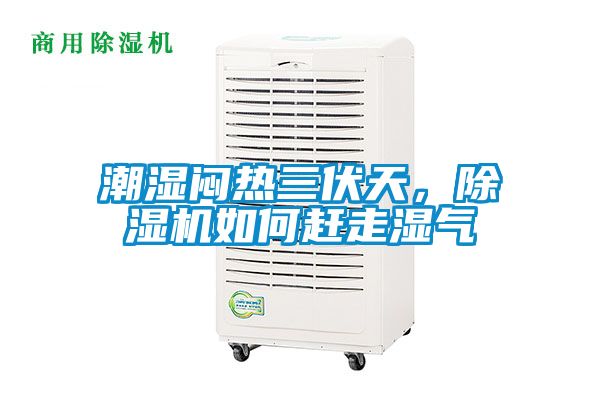 潮濕悶熱三伏天，除濕機如何趕走濕氣