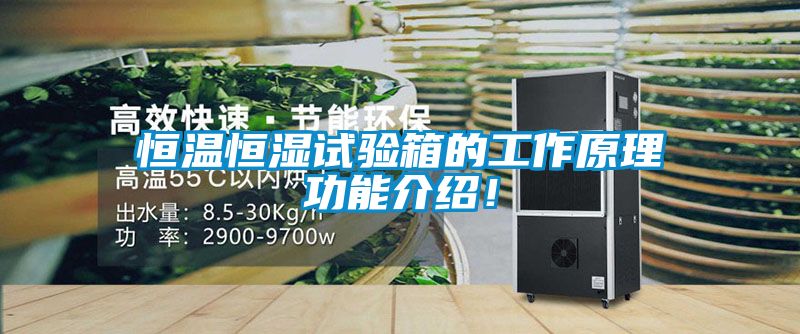 恒溫恒濕試驗(yàn)箱的工作原理功能介紹！