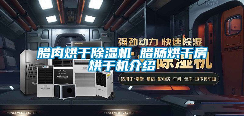 臘肉烘干除濕機(jī) 臘腸烘干房烘干機(jī)介紹