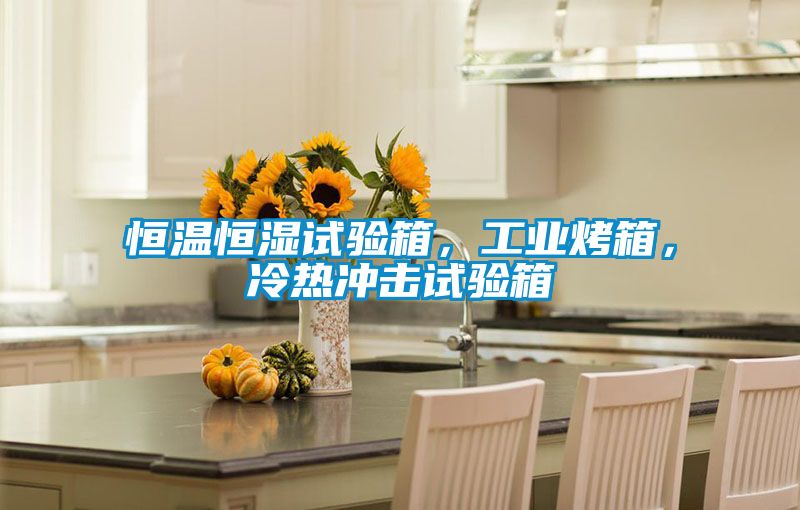 恒溫恒濕試驗箱，工業(yè)烤箱，冷熱沖擊試驗箱