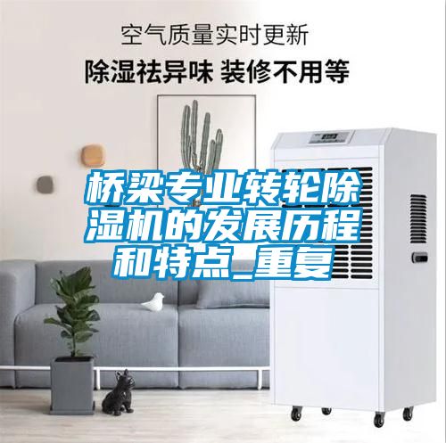 橋梁專業(yè)轉輪除濕機的發(fā)展歷程和特點_重復