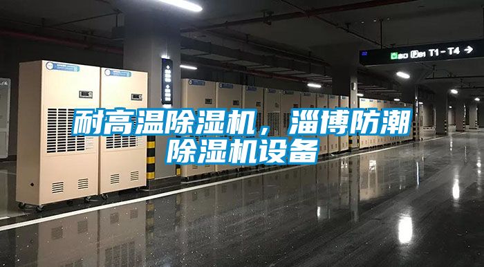 耐高溫除濕機(jī)，淄博防潮除濕機(jī)設(shè)備