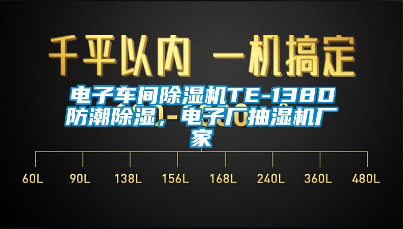 電子車間除濕機TE-138D防潮除濕，電子廠抽濕機廠家