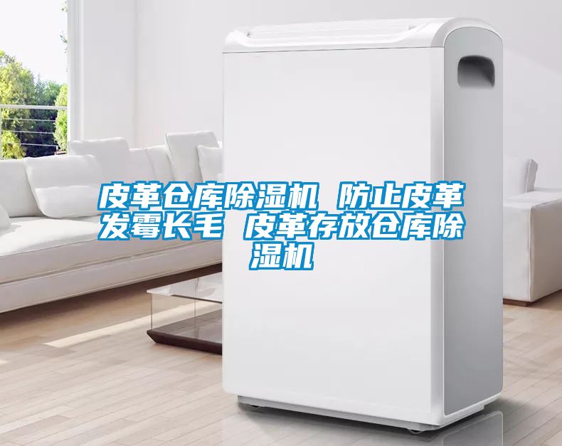 皮革倉庫除濕機 防止皮革發(fā)霉長毛 皮革存放倉庫除濕機