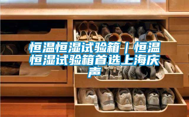 恒溫恒濕試驗(yàn)箱｜恒溫恒濕試驗(yàn)箱首選上海慶聲