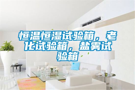 恒溫恒濕試驗箱，老化試驗箱，鹽霧試驗箱