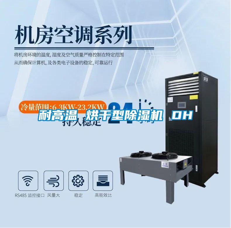 耐高溫 烘干型除濕機(jī) DH