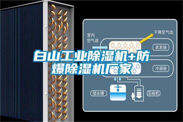 白山工業(yè)除濕機+防爆除濕機廠家