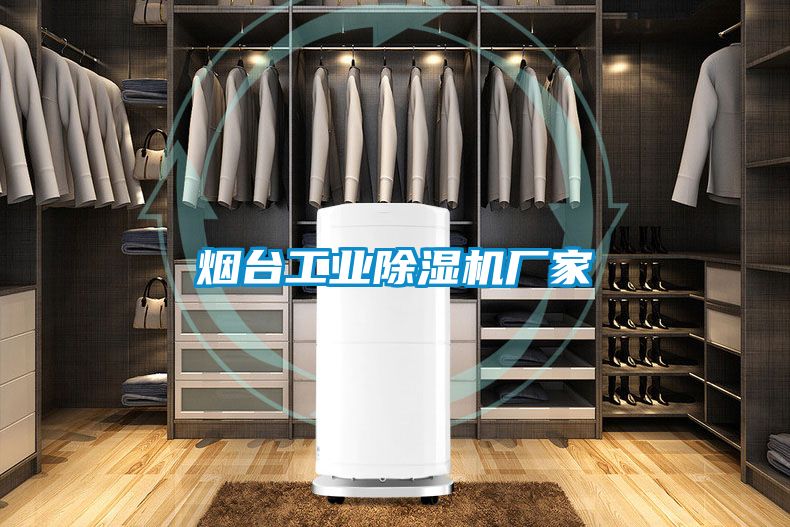 煙臺(tái)工業(yè)除濕機(jī)廠家