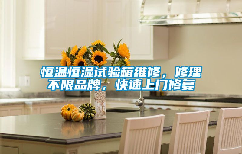 恒溫恒濕試驗箱維修，修理不限品牌，快速上門修復