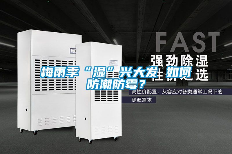 梅雨季“濕”興大發(fā) 如何防潮防霉？