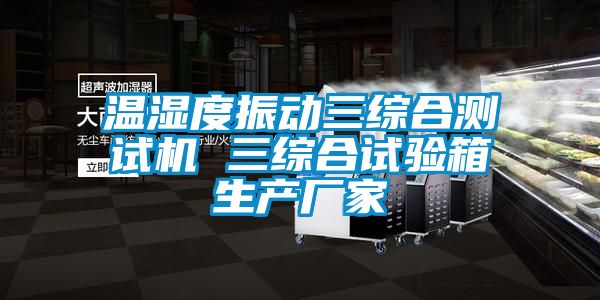 溫濕度振動三綜合測試機 三綜合試驗箱生產(chǎn)廠家
