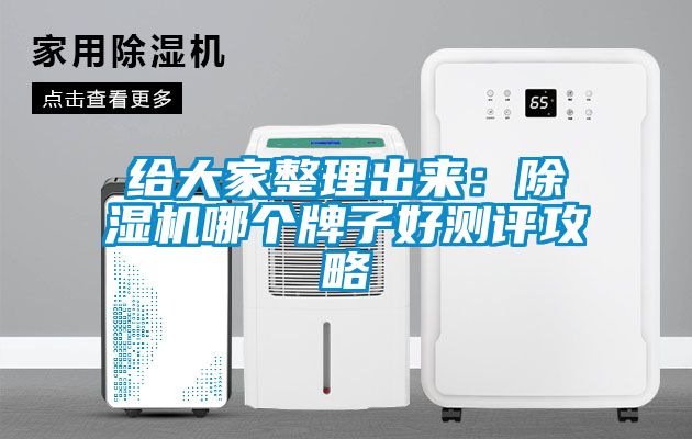 給大家整理出來：除濕機(jī)哪個(gè)牌子好測(cè)評(píng)攻略
