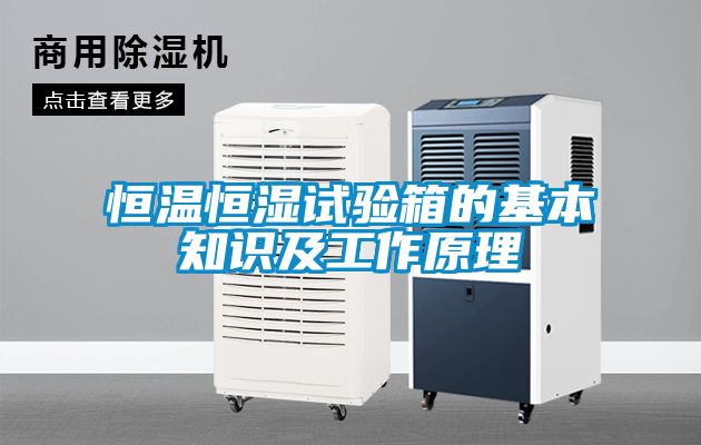 恒溫恒濕試驗(yàn)箱的基本知識及工作原理