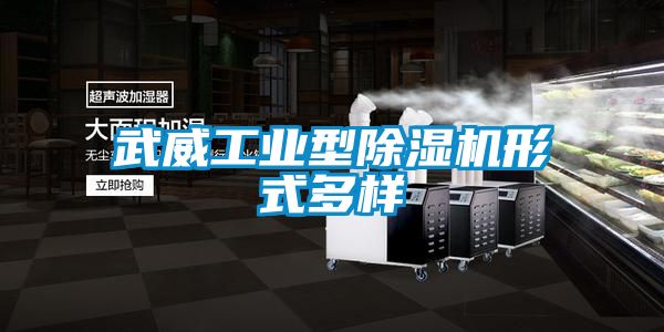武威工業(yè)型除濕機形式多樣
