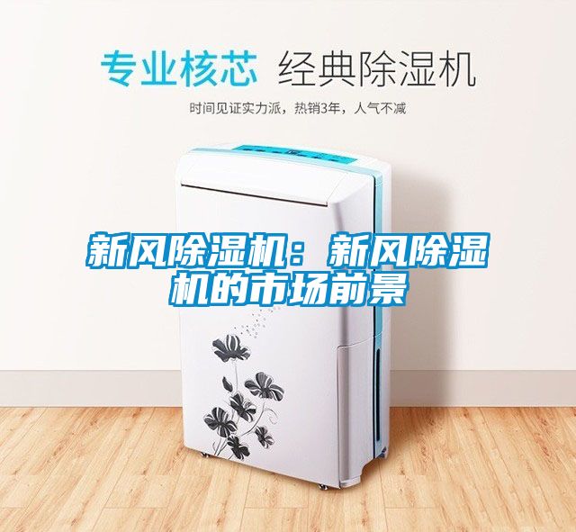 新風(fēng)除濕機(jī)：新風(fēng)除濕機(jī)的市場(chǎng)前景
