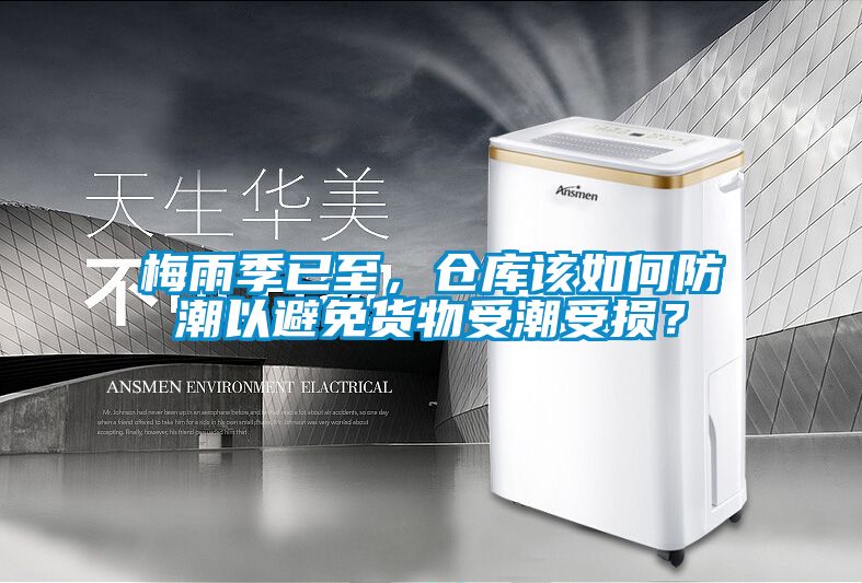 梅雨季已至，倉庫該如何防潮以避免貨物受潮受損？
