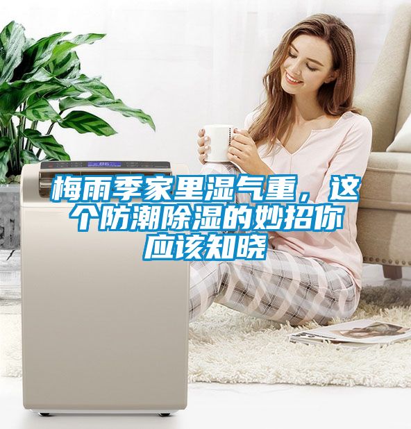梅雨季家里濕氣重，這個防潮除濕的妙招你應(yīng)該知曉