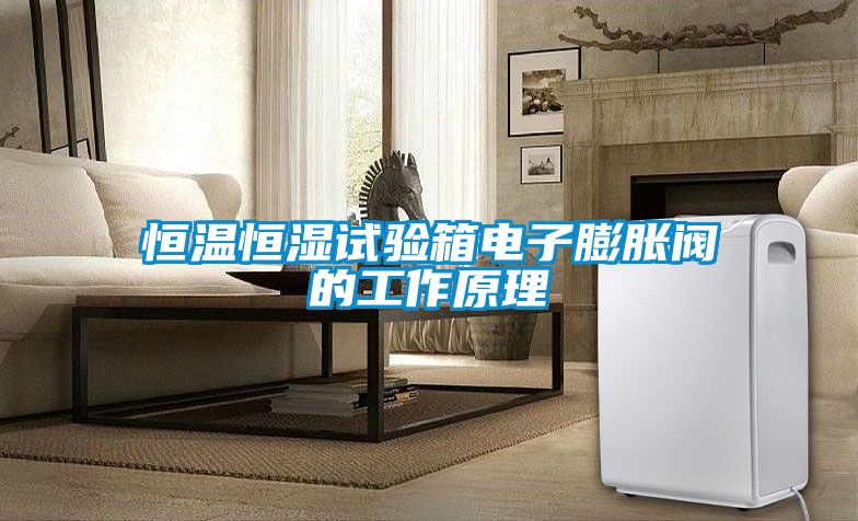 恒溫恒濕試驗箱電子膨脹閥的工作原理