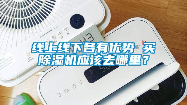 線(xiàn)上線(xiàn)下各有優(yōu)勢(shì) 買(mǎi)除濕機(jī)應(yīng)該去哪里？