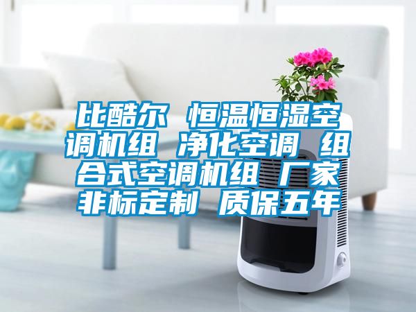 比酷爾 恒溫恒濕空調(diào)機(jī)組 凈化空調(diào) 組合式空調(diào)機(jī)組 廠家非標(biāo)定制 質(zhì)保五年