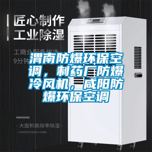 渭南防爆環(huán)?？照{(diào)，制藥廠防爆冷風(fēng)機(jī)，咸陽防爆環(huán)?？照{(diào)