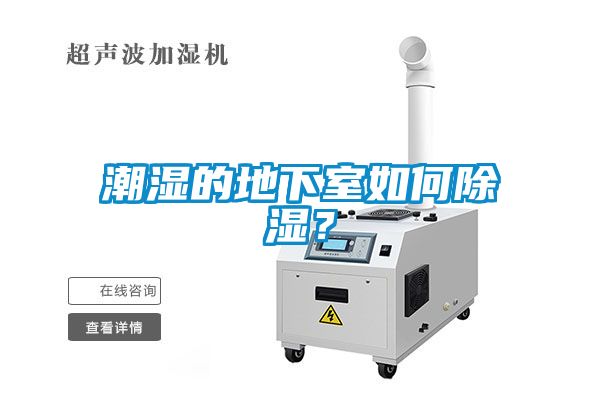 潮濕的地下室如何除濕？