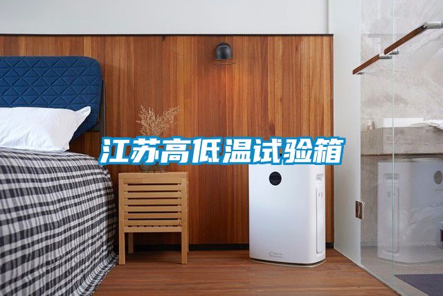 江蘇高低溫試驗箱