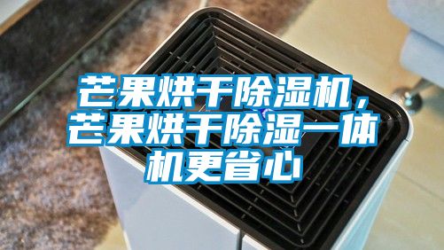 芒果烘干除濕機(jī)，芒果烘干除濕一體機(jī)更省心