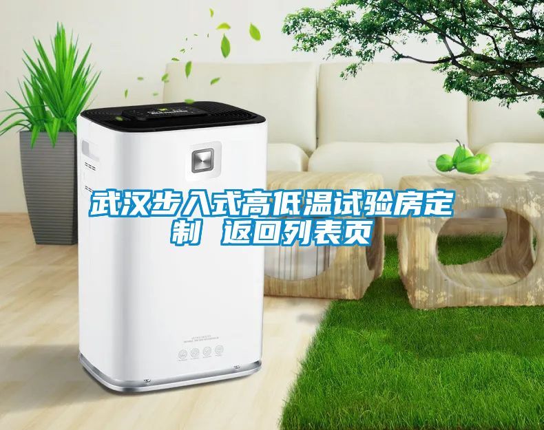 武漢步入式高低溫試驗(yàn)房定制 返回列表頁(yè)