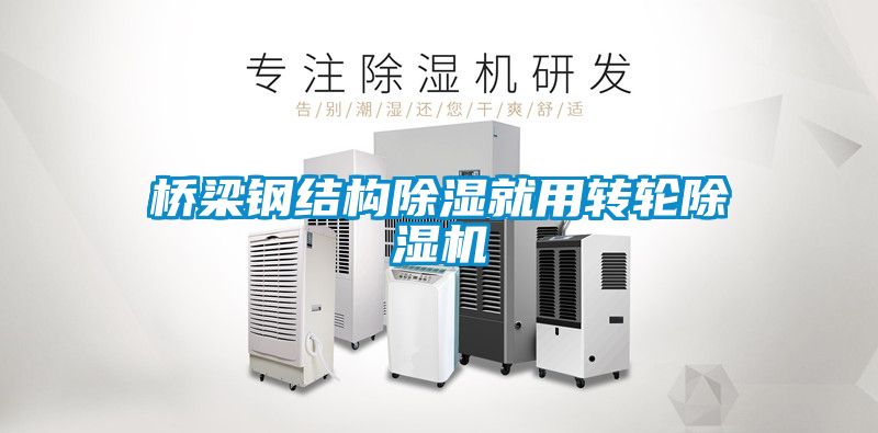 橋梁鋼結(jié)構(gòu)除濕就用轉(zhuǎn)輪除濕機(jī)