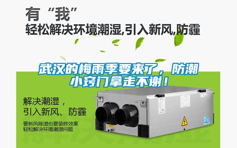武漢的梅雨季要來了，防潮小竅門拿走不謝！