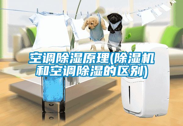 空調(diào)除濕原理(除濕機和空調(diào)除濕的區(qū)別)