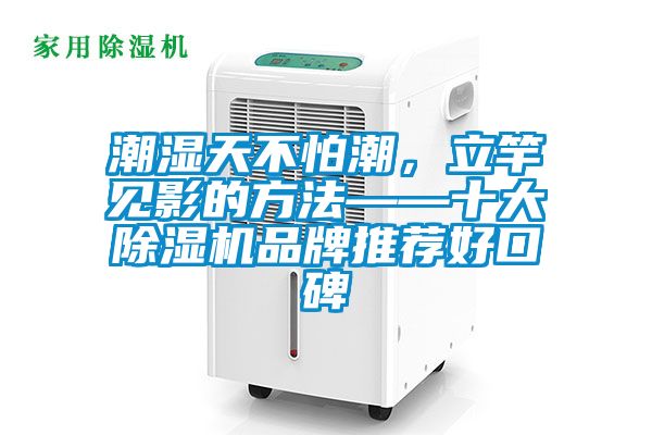 潮濕天不怕潮，立竿見影的方法——十大除濕機(jī)品牌推薦好口碑