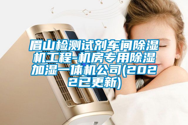 眉山檢測(cè)試劑車(chē)間除濕機(jī)工程-機(jī)房專(zhuān)用除濕加濕一體機(jī)公司(2022已更新)