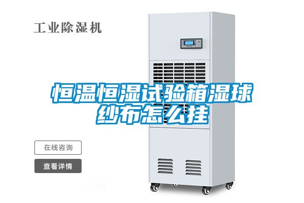 恒溫恒濕試驗(yàn)箱濕球紗布怎么掛