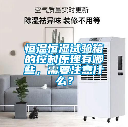 恒溫恒濕試驗箱的控制原理有哪些，需要注意什么？