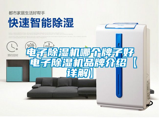 電子除濕機(jī)哪個(gè)牌子好 電子除濕機(jī)品牌介紹【詳解】