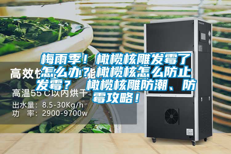 梅雨季！橄欖核雕發(fā)霉了怎么辦？橄欖核怎么防止發(fā)霉？ 橄欖核雕防潮、防霉攻略！