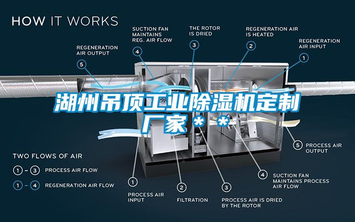 湖州吊頂工業(yè)除濕機(jī)定制 廠家＊＊