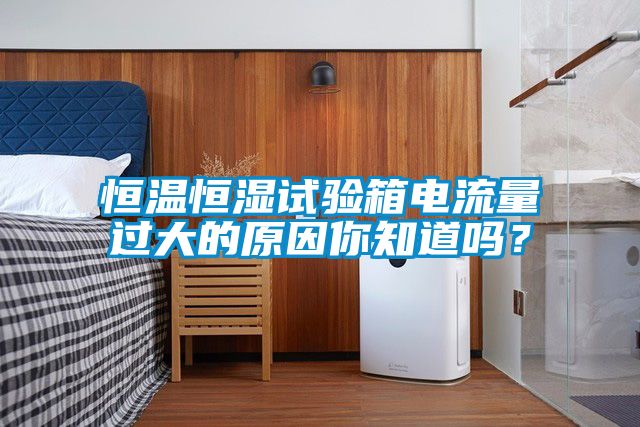 恒溫恒濕試驗(yàn)箱電流量過大的原因你知道嗎？