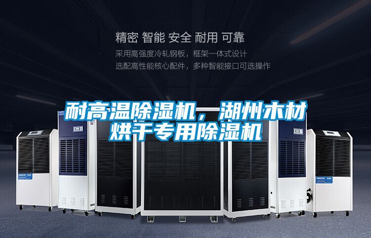 耐高溫除濕機(jī)，湖州木材烘干專用除濕機(jī)
