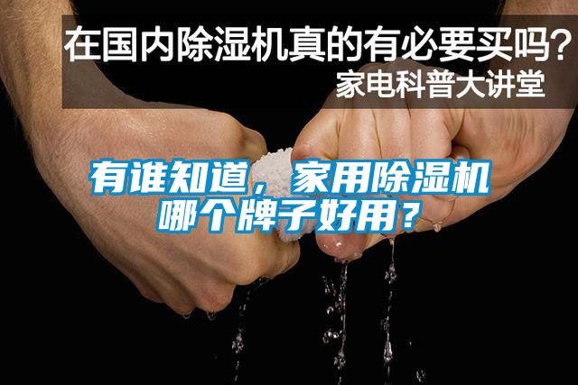 有誰知道，家用除濕機哪個牌子好用？