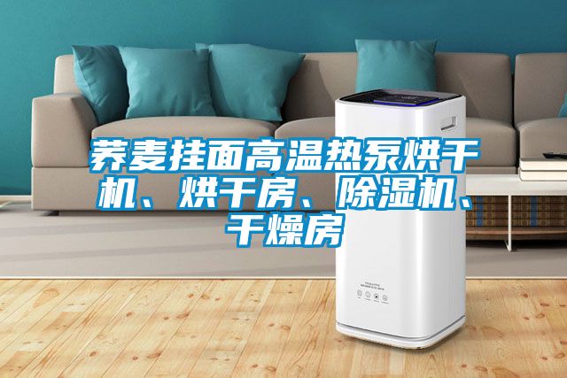 蕎麥掛面高溫?zé)岜煤娓蓹C(jī)、烘干房、除濕機(jī)、干燥房